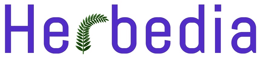 HERBEDIA